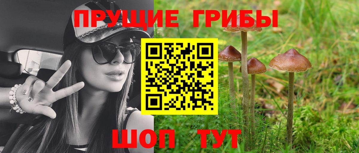 Галлюциногенные грибы Cubensis Вязники