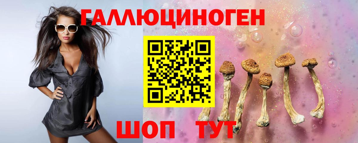 Вязники  Псилоцибиновые грибы Cubensis  Псилоцибиновые грибы мицелий  Вход с VPN 